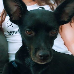 Meet your Posher, Leah